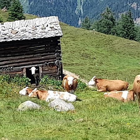 Ferienhaus Grofn Матрей ин Остирол Екстериор снимка